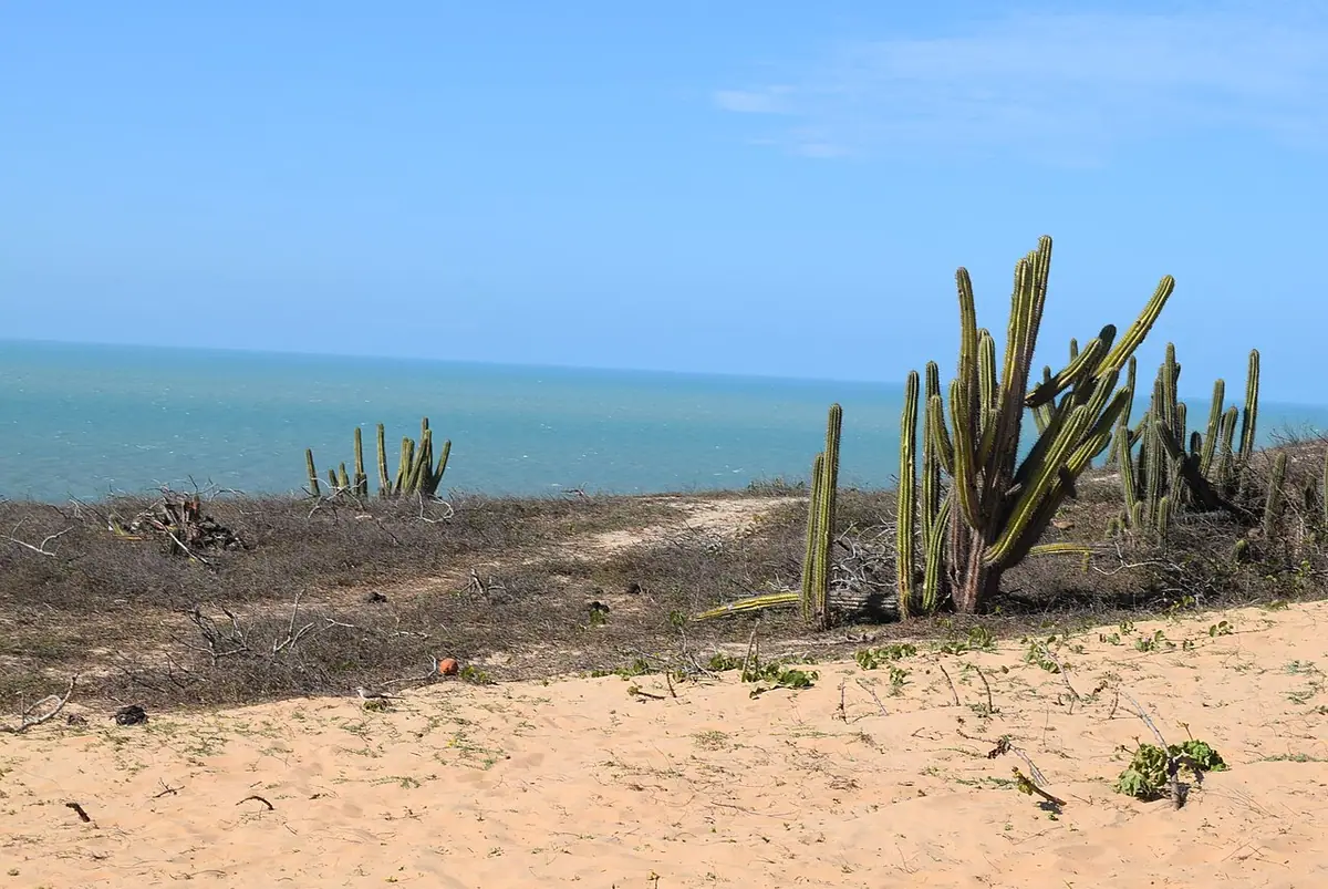 Praia em Jijoca de Jericoacoara (CE)